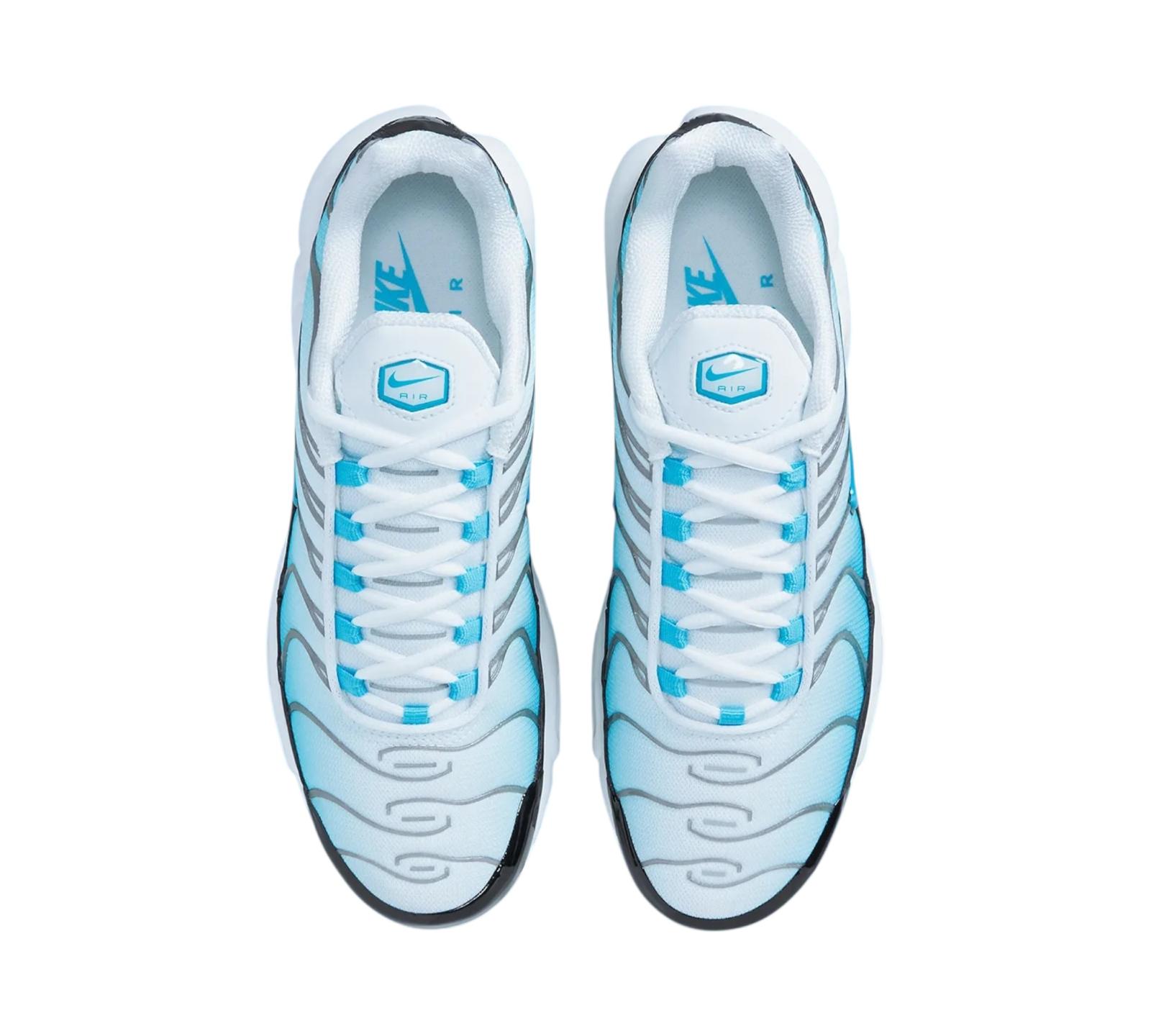 NIKE AIR MAX PLUS ICE