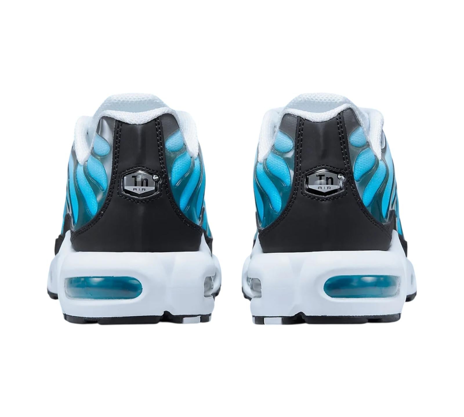 NIKE AIR MAX PLUS ICE
