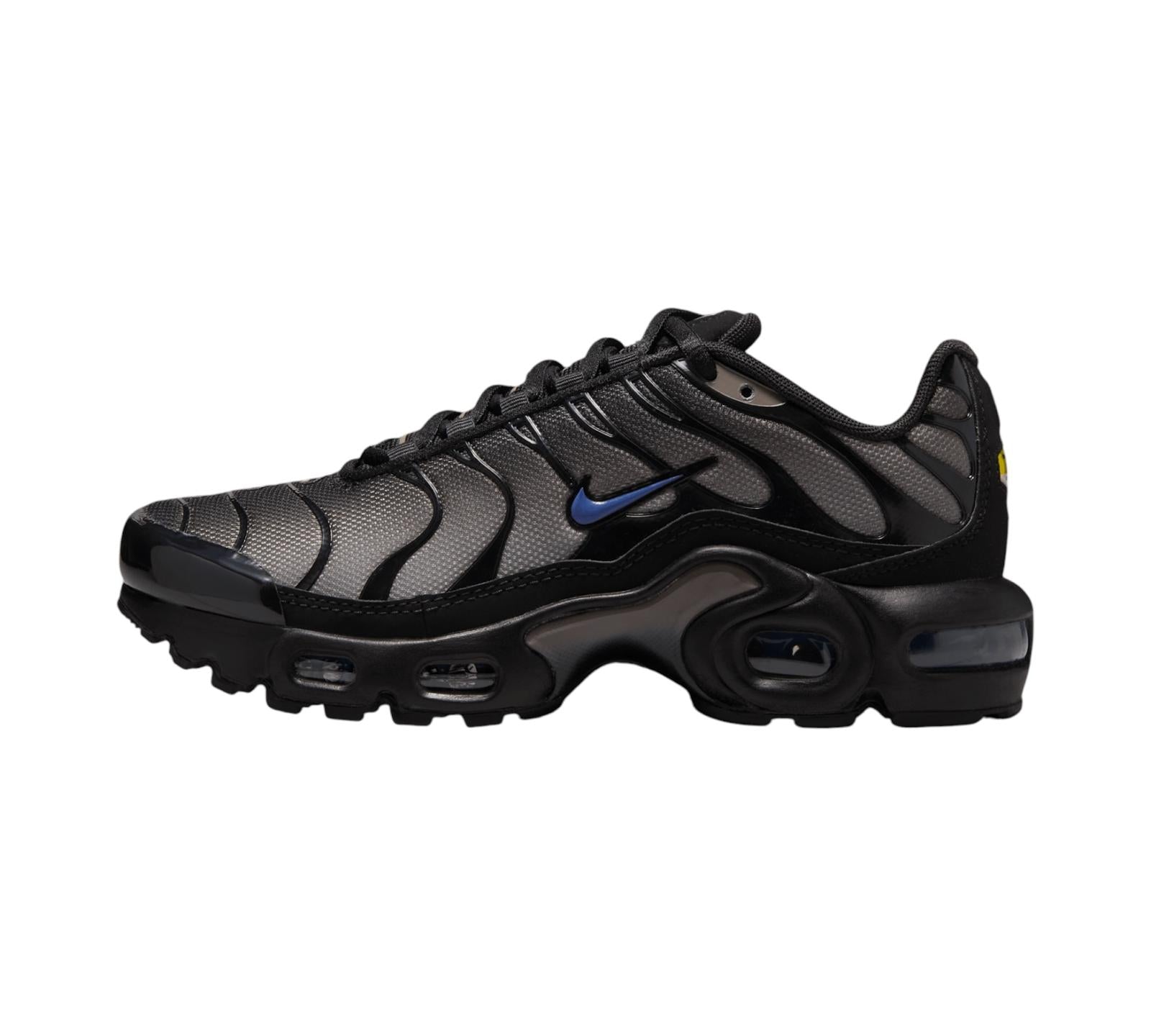 NIKE AIR MAX PLUS BLACK CAVE STONE