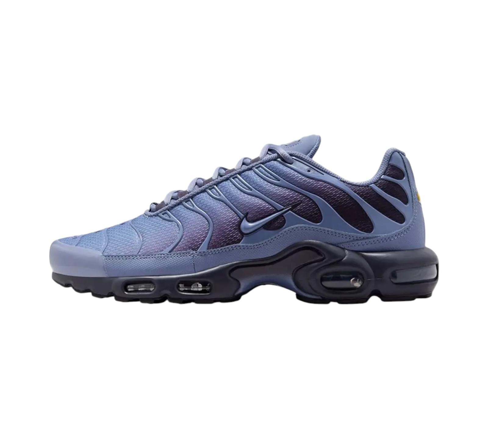 NIKE AIR MAX PLUS WORLD INDIGO