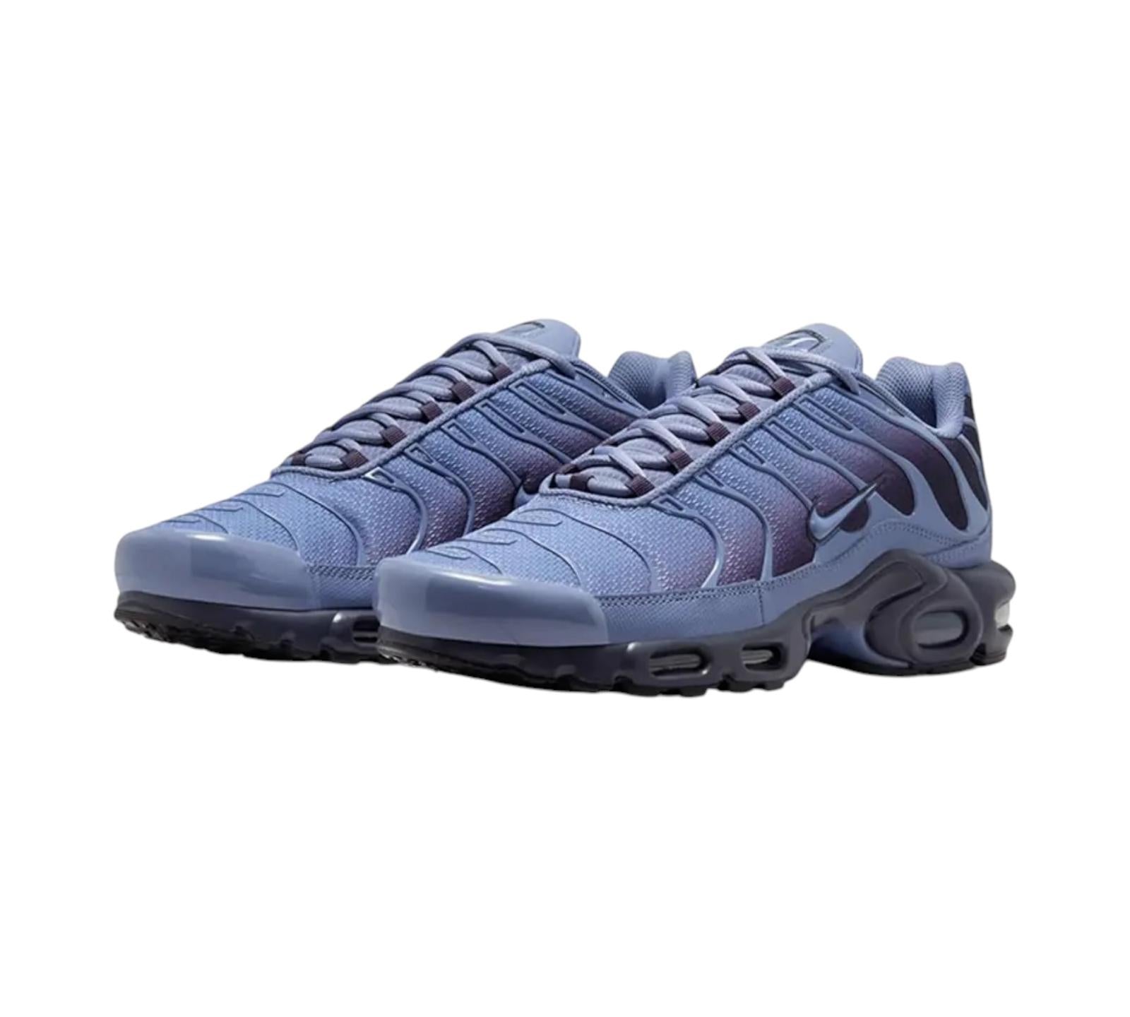 NIKE AIR MAX PLUS WORLD INDIGO
