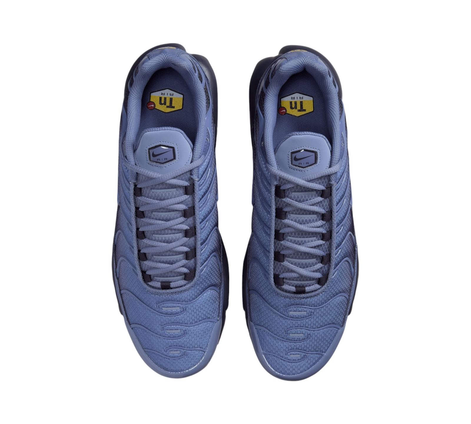 NIKE AIR MAX PLUS WORLD INDIGO