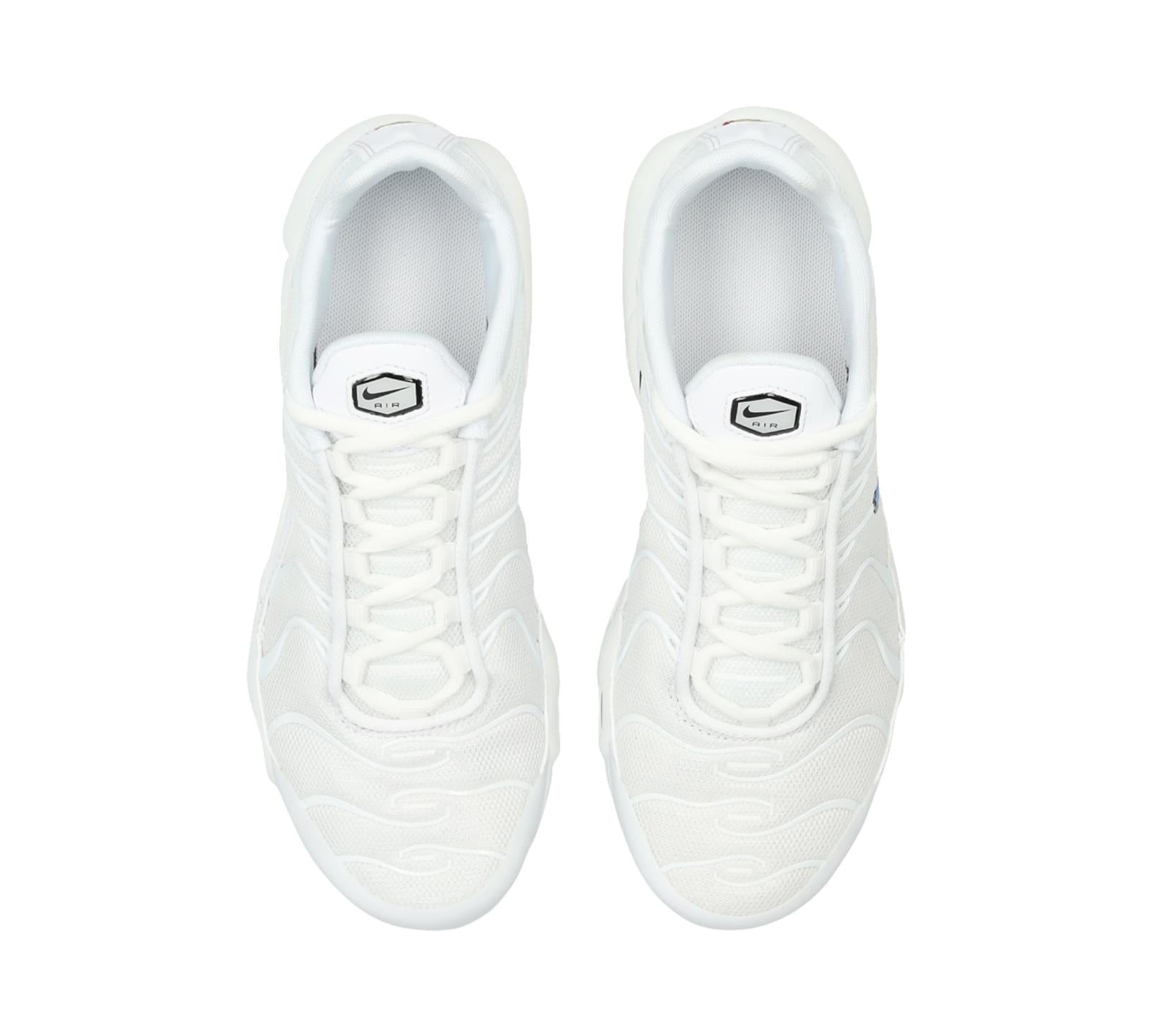 NIKE AIR MAX PLUS WHITE BLUE