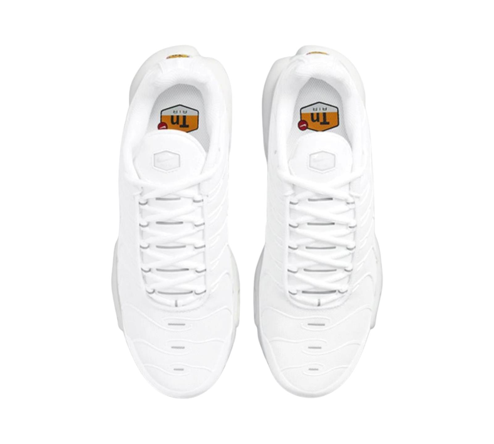 NIKE AIR MAX PLUS WHITE PURE PLATINUM