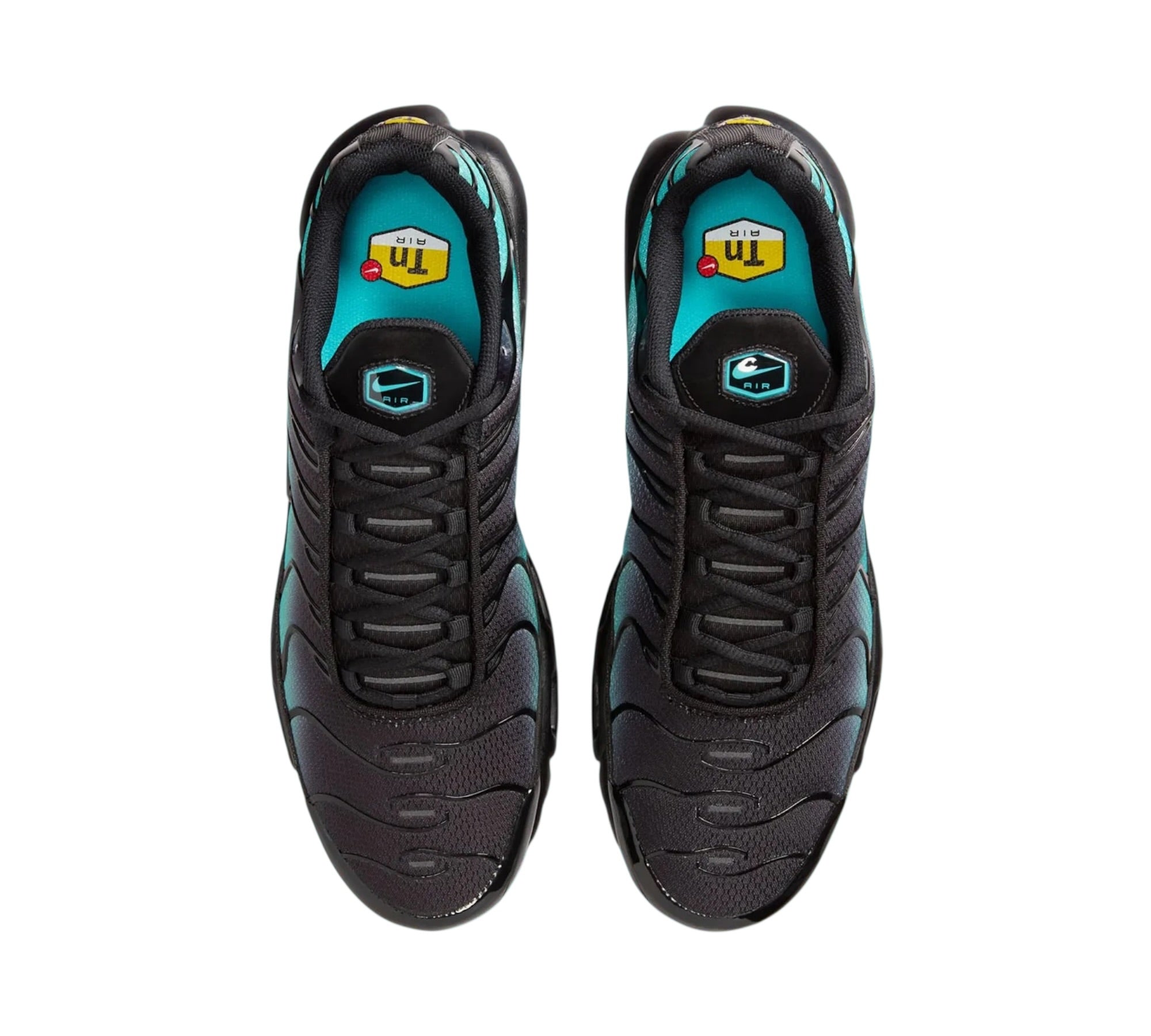 NIKE AIR MAX PLUS BLACK DUSTY CACTUS