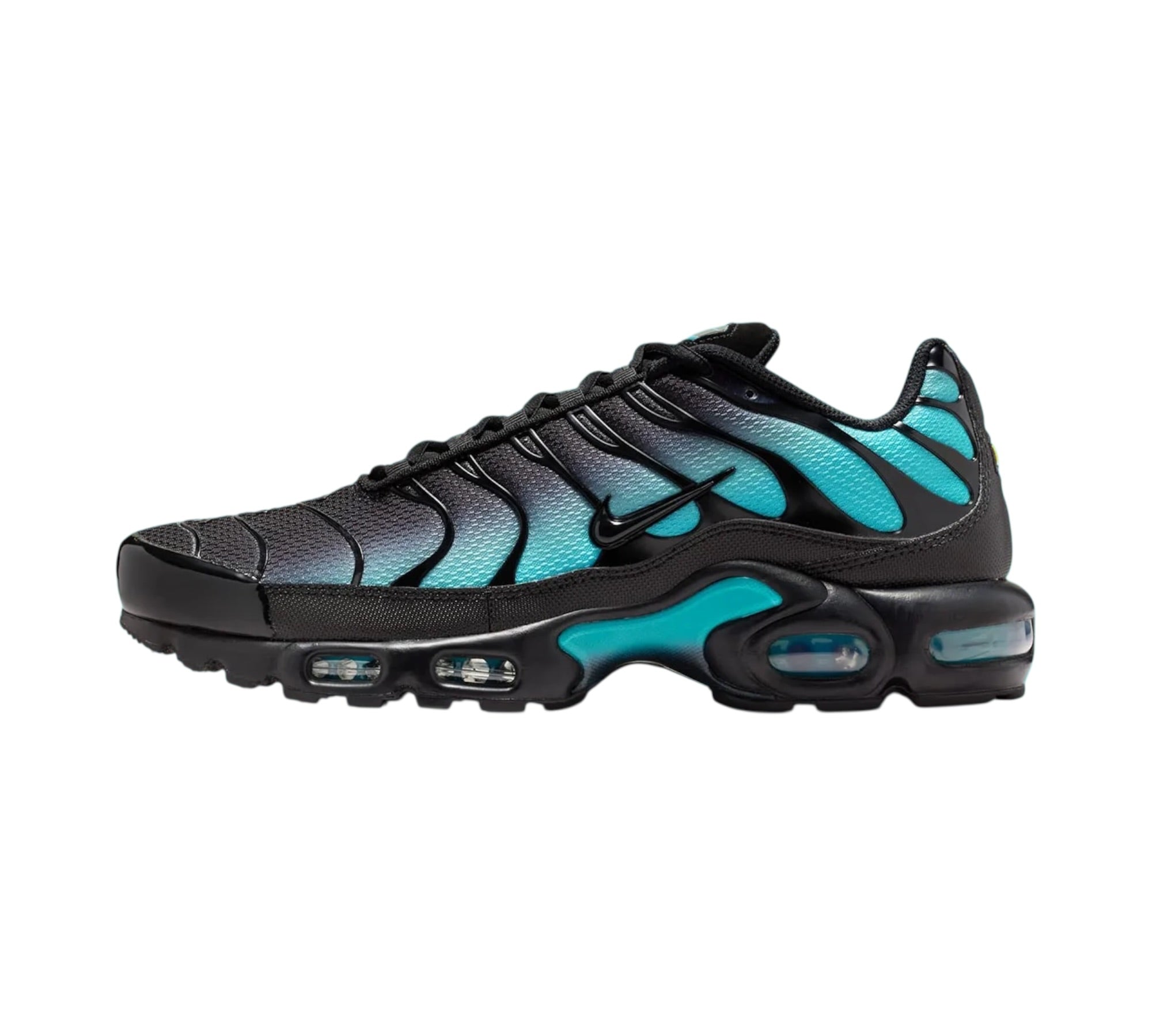 NIKE AIR MAX PLUS BLACK DUSTY CACTUS